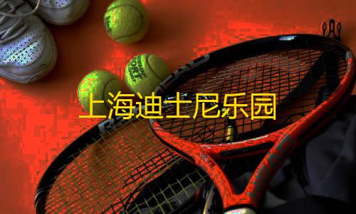 小叮当直装v3.0下载安装上海迪士尼乐园